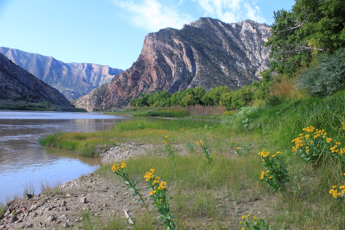 Rainbow Park Campground Dinosaur National Monument (U.S. National