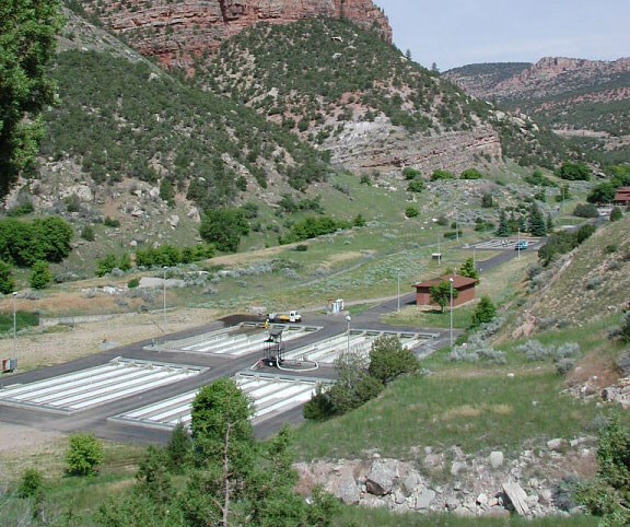 Hatchery raceways seen from a distance.