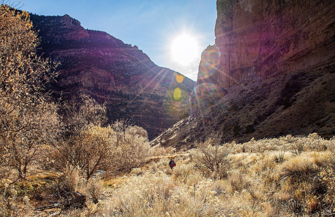 Two hikers walk through the dry brush along Jones Hole Trail in front of large canyon walls.
