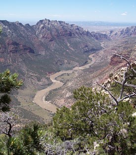 View of Green River and Split Mountain Canyon from canyon edge.