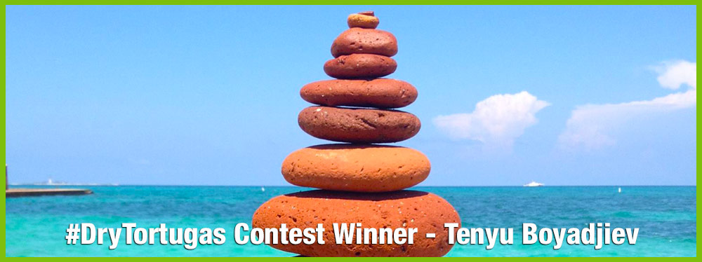 dry-tortugas-photo-contest-november-winner