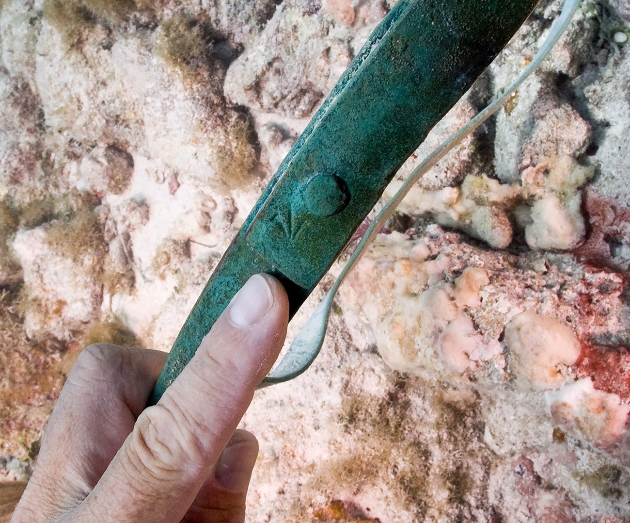 Diver identifying a “broad arrow” marking on a copper barrel band denoting ownership by the British military. Copper barrel bands were used on small barrels of copper during the 18th century.