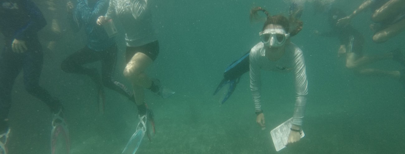 A group of children snorkeling underwater