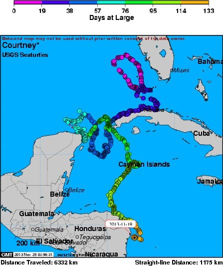 Satellite tracking map showing Courtney's international travel adventures