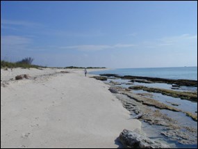 Lone visitor walks along remote beach on Loggerhead Key
