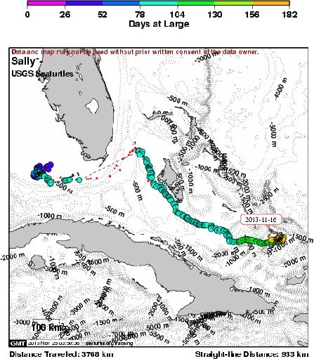 Satellite tracking map showing Sally's journey through the Florida Straits and her Bahamian travel adventure