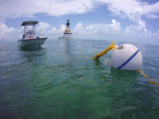 boat tied to mooring ball