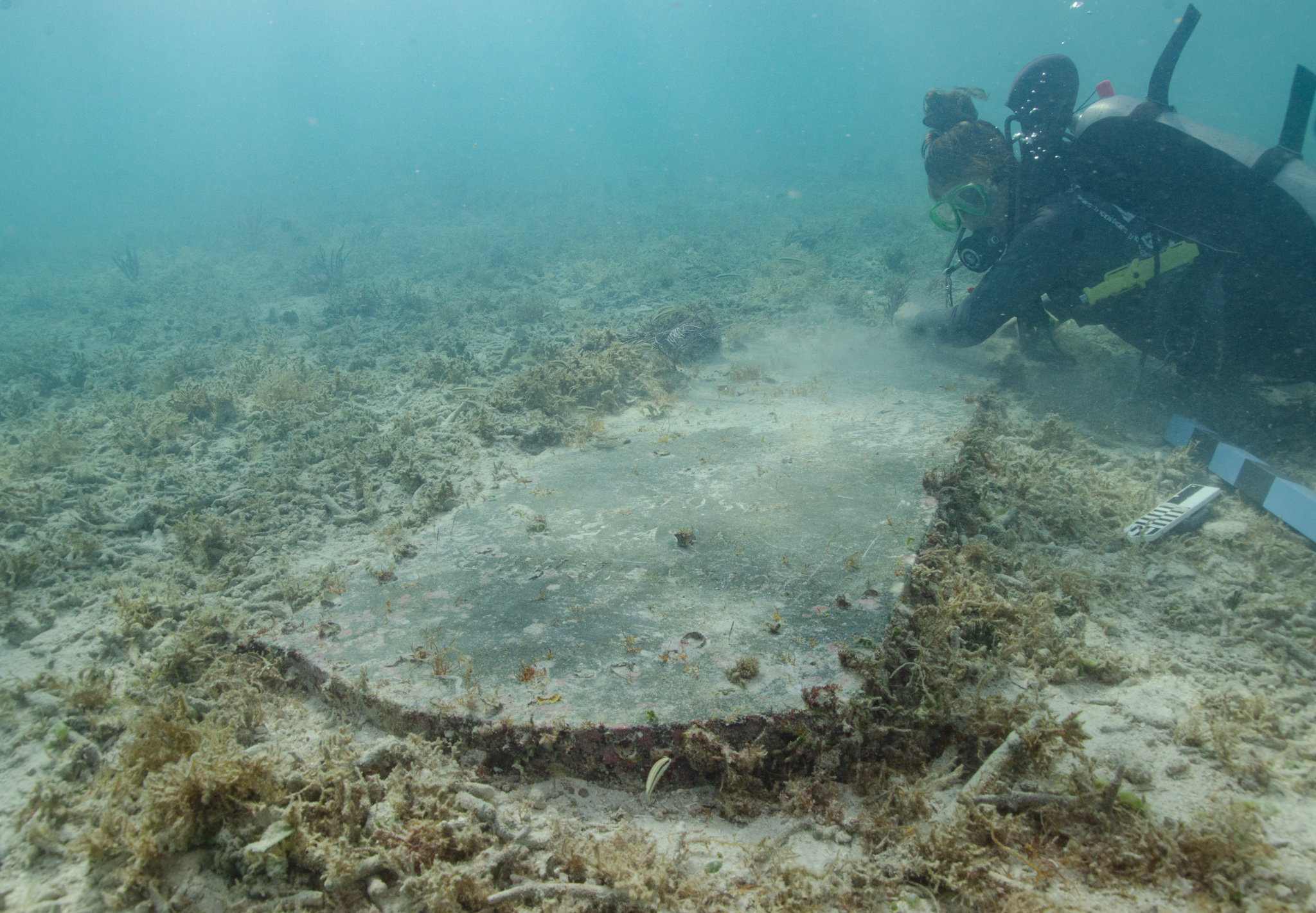 A scuba diver with measuring tools hovers alongside an underwater headstone surrounded by sand and short vegetation. Some letters and numbers can be made out in the inscription.