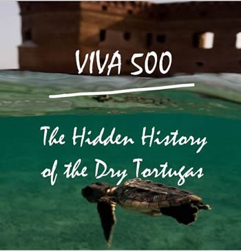 viva 500 viva 500