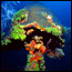 Learn about coral and coral reefs