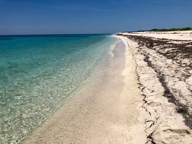 Dry Tortugas Beach