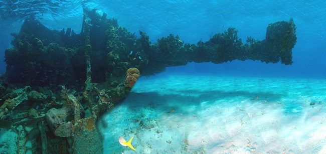 A sunken ship covered in corals resting on a sandy bottom