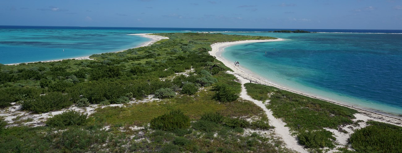 An island covered in vegetation, surrounded by sand and blue ocean waters