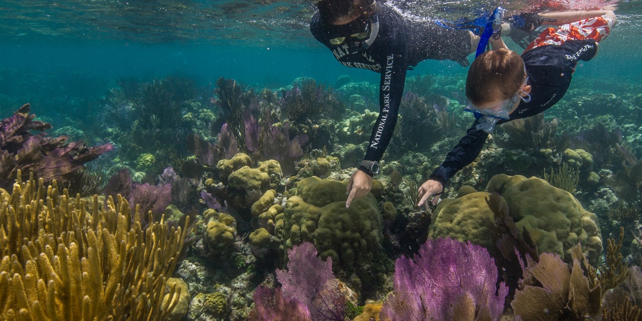 A child and adult snorkel Little Africa reef.