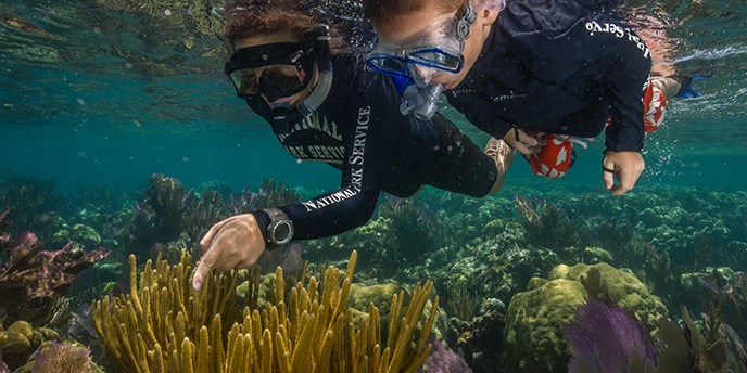 diving and snorkeling sites