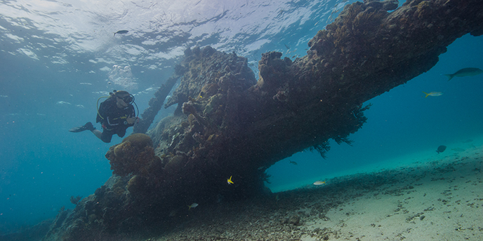 diving and snorkeling sites - dry tortugas national park