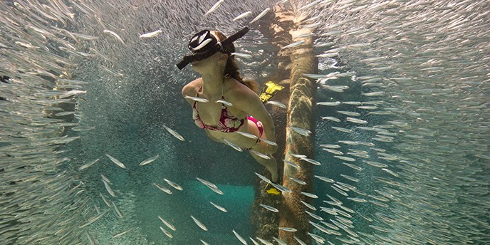 Woman snorkels 