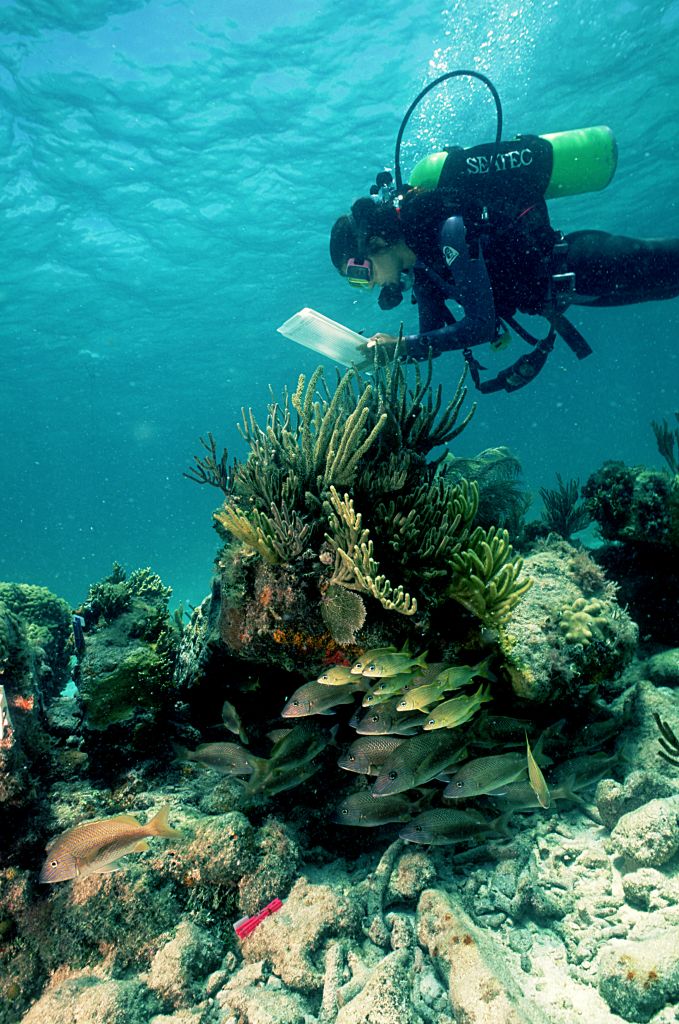 Outdoor Activities - Dry Tortugas National Park (U.S. National Park