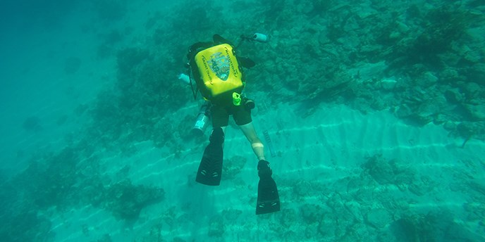 Diver takes photos at underwater. Diver takes photos at underwater.