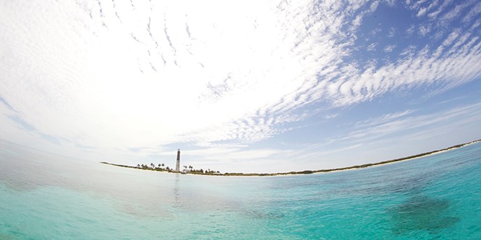 A view of Loggerhead Key from the ocean. A view of Loggerhead Key from the ocean.