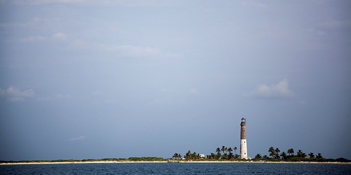 Loggerhead Key Loggerhead Key