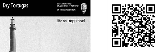 LogerHead QR