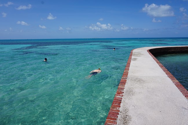 People swimming in the ocean next to a brick moat wall