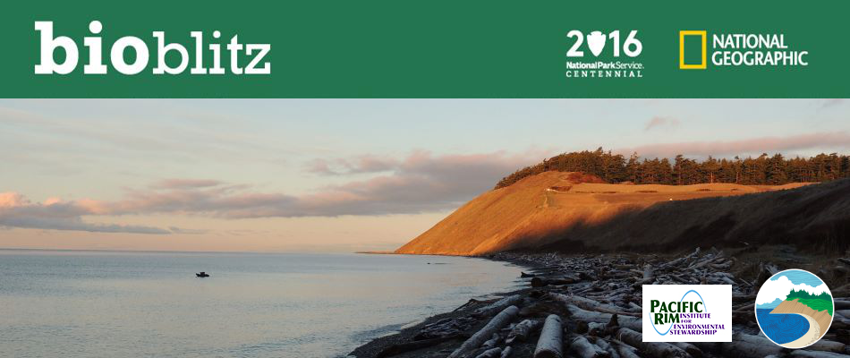 BioBlitz Logo BioBlitz Logo