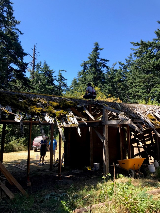 Old shed undergoing stabilization and restoration.