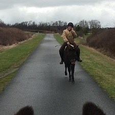 Woman riding mule on paved path.