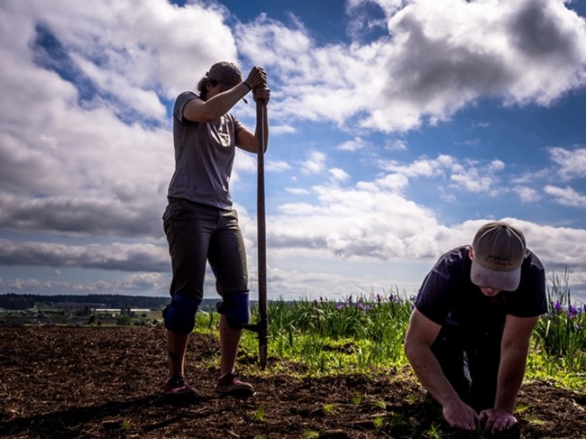 People planting on sunny day.