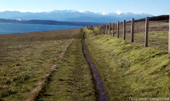 Trail alongside a fence.