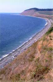Coastal Strip Coastal Strip