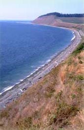 Coastal Strip