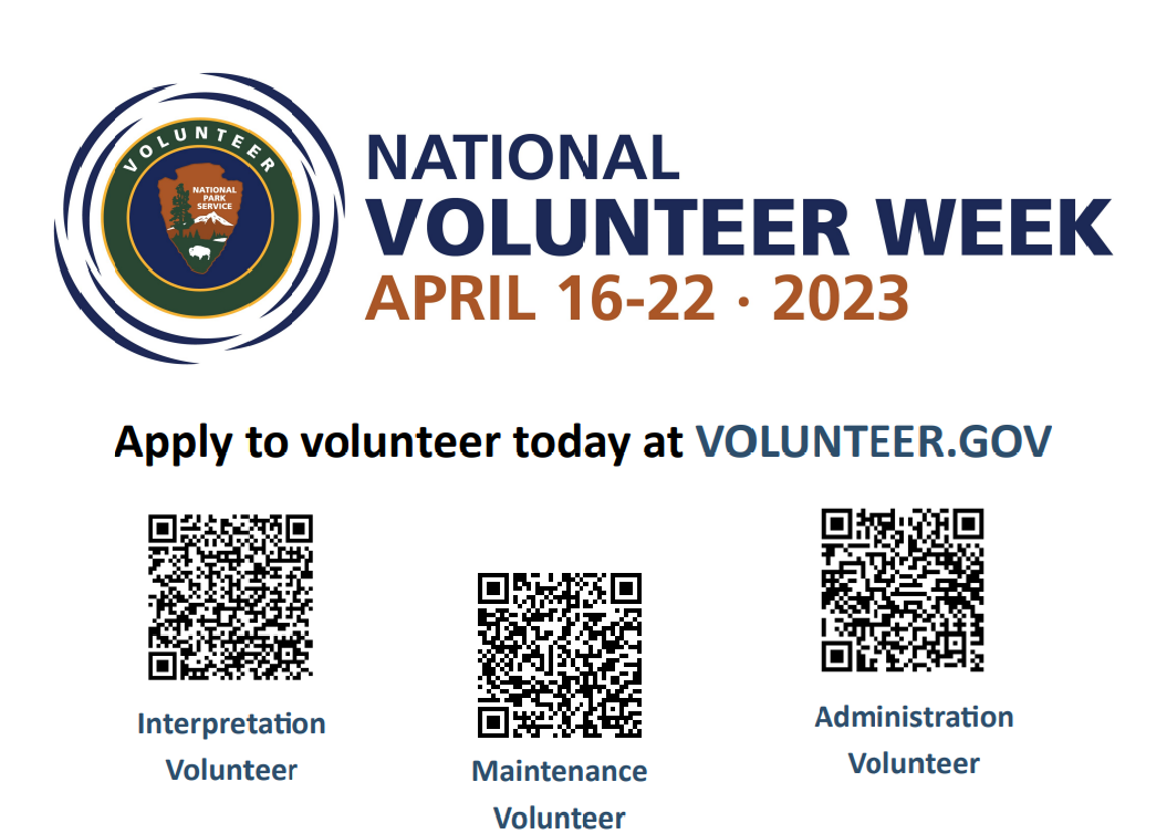 Simple flyer advertising VIP week 2023 with QR codes