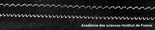 Phonautograph sound with 250 Hz.