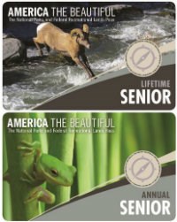 There are 2 passes displayed.  The top one is the Lifetime Sr Pass and the lower picture is of the Annual Sr Pass