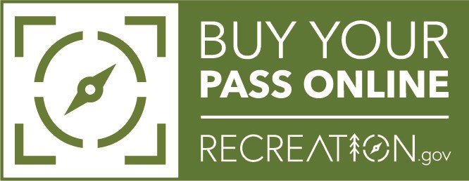 Digital_Pass_Icon
