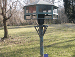 Glenmont Birdhouse