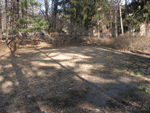The Skating Pond
