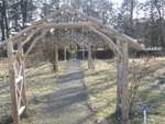 The Garden Area