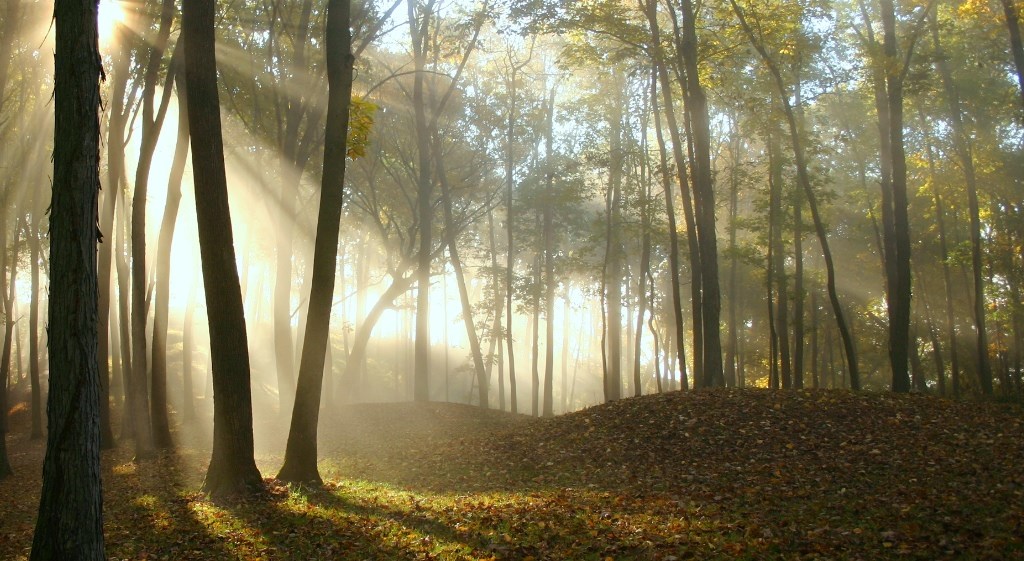 Prehistoric burial mounds photographed just after dawn