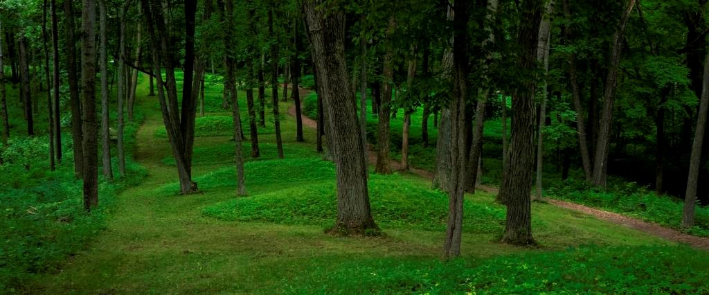 Round shaped mounds along trail