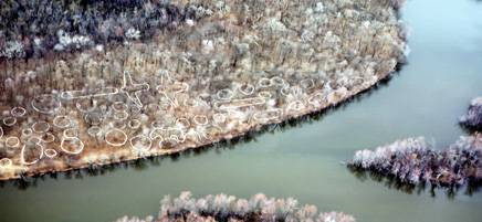 Aerial view of Sny Magill mound group Aerial view of Sny Magill mound group
