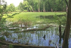 Nature and Science