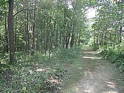 Nature and Science Nature and Science
