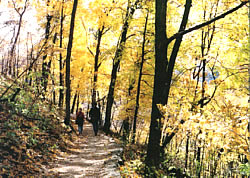 Nature and Science Nature and Science