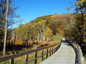 Yellow River Boardwalk Trail