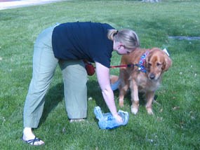 HEHO visitor_dog2_285 HEHO visitor_dog2_285