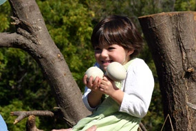 Child holding imitation eagle eggs at HawkWatch